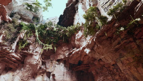 large-fairy-rocky-cave-with-green-plants